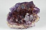 Purple, Cubic Fluorite Crystal Cluster - Berbes, Spain #183822-1